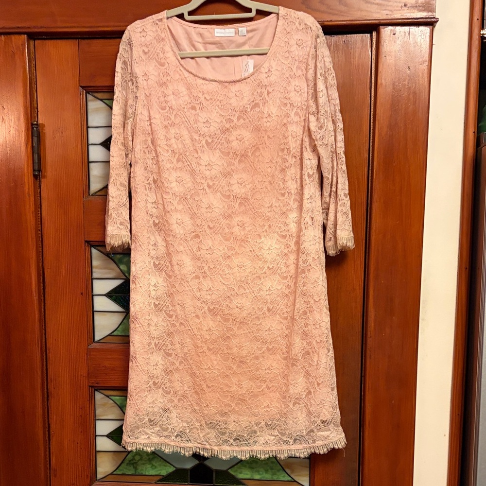 New York & Company Blush Lace Dress size XL NWT
